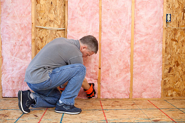 Best Energy Efficiency Insulation in Adrian, MI