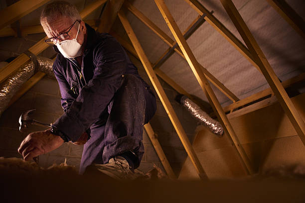 Best Insulation Maintenance and Repair in Adrian, MI